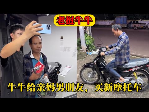 杨毅表态,若詹姆斯侵,犯我,世界杯竞猜,2026世界杯,竞猜技巧,足球预测,世界杯下注