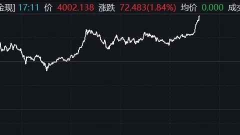 火箭足球分析：亚当斯场上的关键作用解析，申京4号位地位